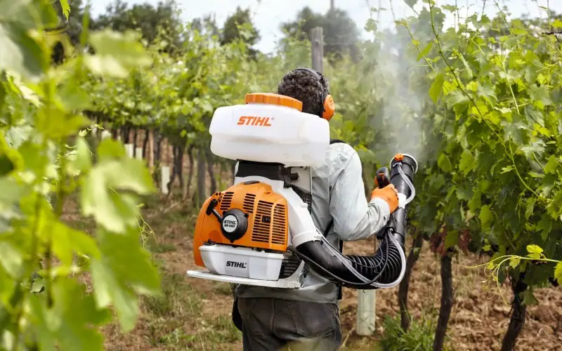Εργάτης με ψεκαστήρα πλάτης STIHL φροντίζει αμπέλι – Κατηγορία Φροντίδα Καλλιέργειας