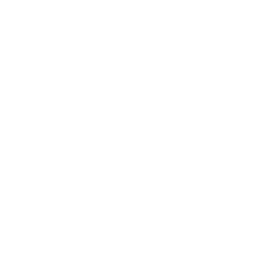 missing-icon